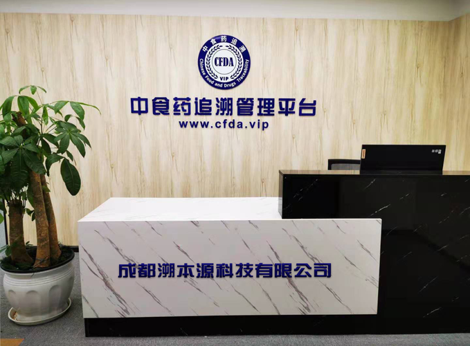 赋能未来 聚焦信息技术与计算机技术服务的新纪元